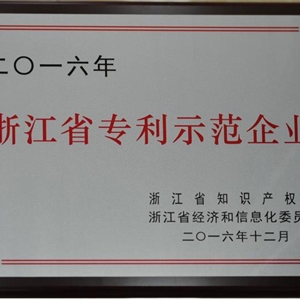 湖州新开元 浙江省专利示范企业