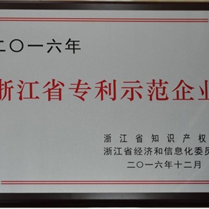 湖州新开元 浙江省专利示范企业